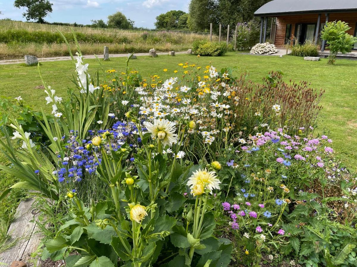 Сasa de vacaciones Primrose Glastonbury