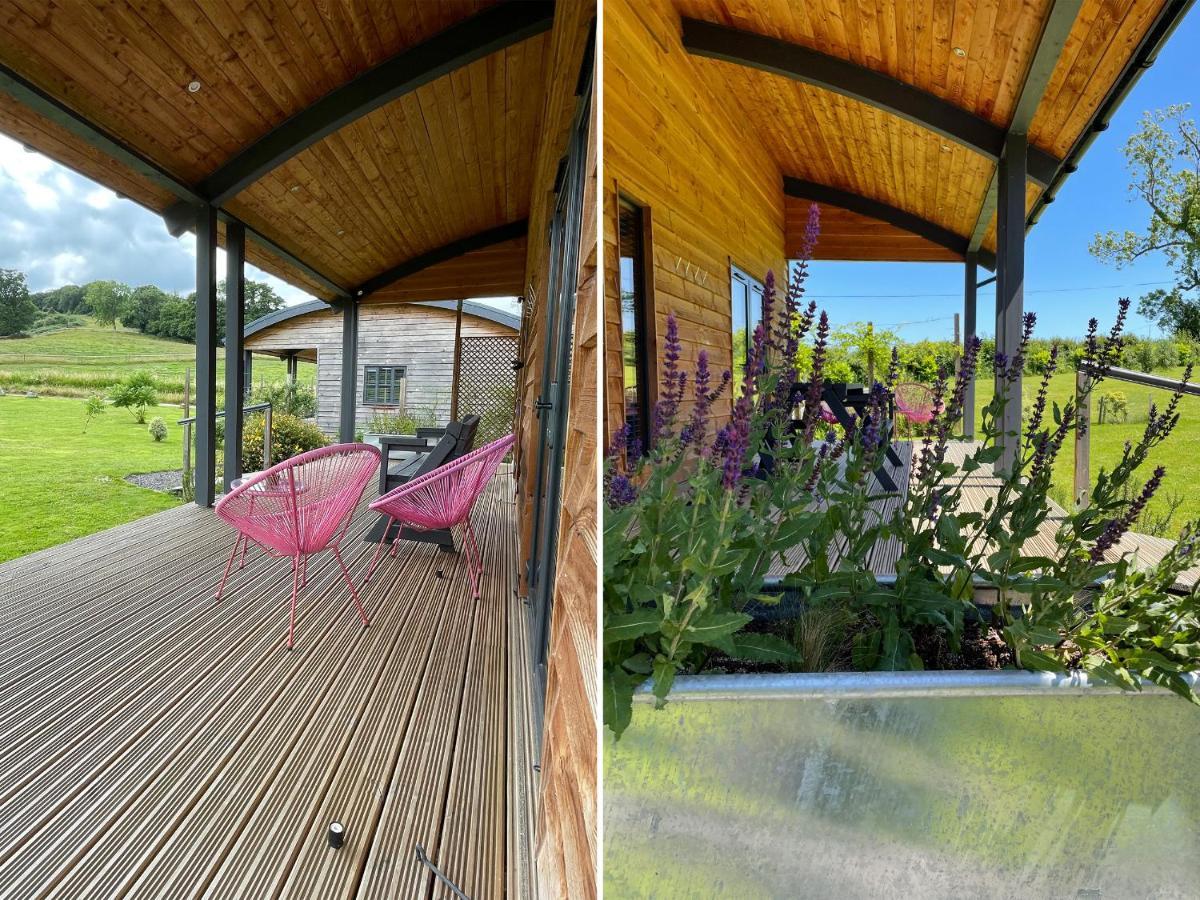 Primrose Holiday home Glastonbury